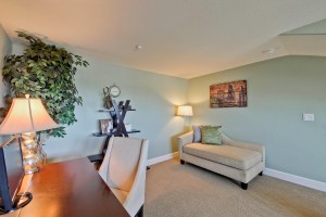 1833 Camino Leonor San Jose CA-large-024-Loft-1500x1000-72dpi