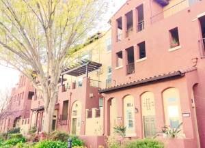 FullSizeRender (9)