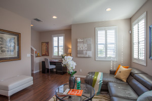 2017_agave_way_livingroom1
