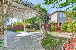 Backyard 10