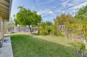 Backyard 2