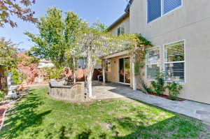 Backyard 3
