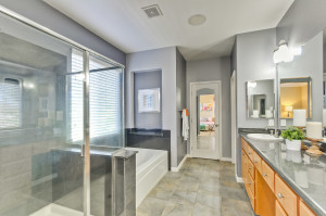 Master Bathroom 2