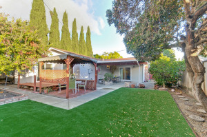 Backyard 10