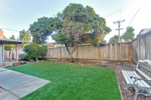Backyard 8