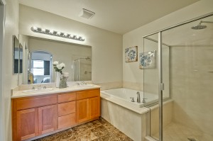 Master Bathroom 1