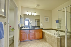 Master Bathroom 1