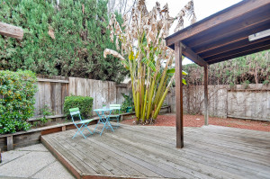 Backyard 5