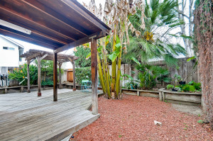 Backyard 8