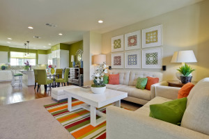 Living Room 4