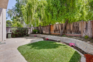 Backyard 2