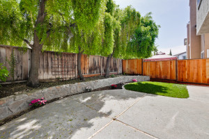 Backyard 3