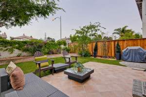 Backyard 5