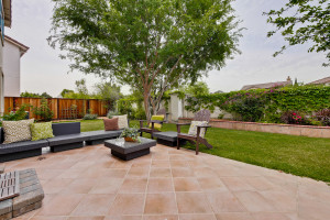 Backyard 8