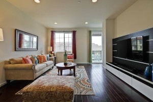 Living Room 2