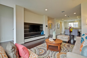 Living Room 4