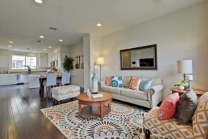 Living Room 5