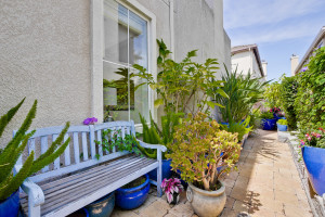 BAckyard 1