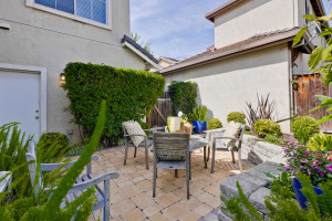 BAckyard 3