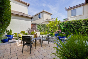 BAckyard 4