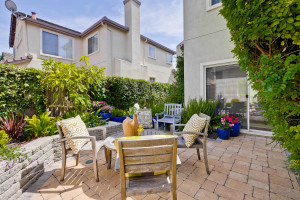 BAckyard 5