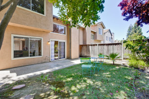 Backyard 4