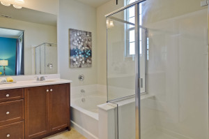 Master Bathroom 3