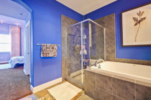 Master Bathroom 3