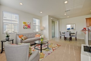 006_living-room