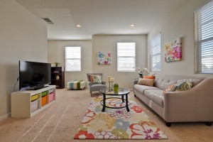 009_living-room