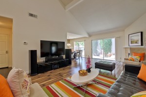 013_living-room