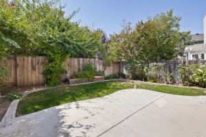 048_backyard