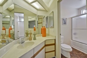 023_master-bathroom