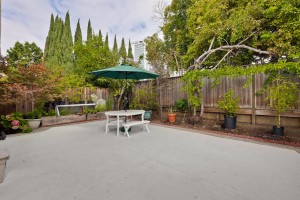 049_backyard