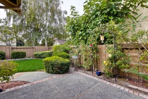 056_backyard