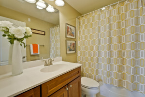 Bathroom 1