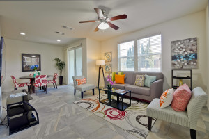 Living Room 1