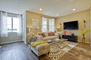 Living Room 1