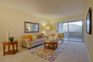 Living Room 3