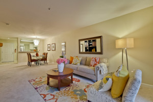 Living Room 4