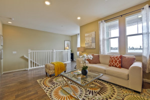 Living Room 5