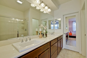 master-bathroom-1