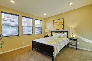 Master Bedroom 1