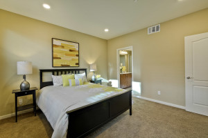 Master Bedroom 4
