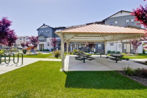 Pepper Lane Community 2