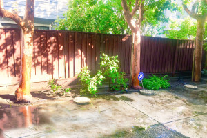 1269 Hong Kong Dr Yard 3x2