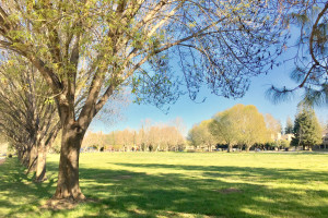 Park 3x2
