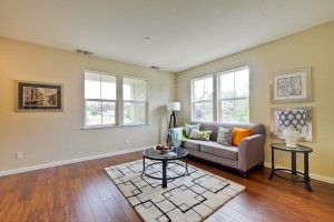 007_Living Room