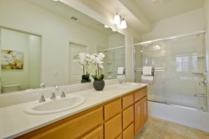 028_Master Bathroom