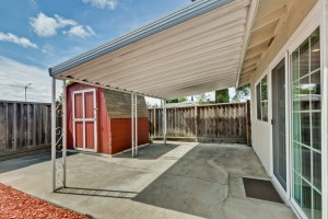 034_Backyard